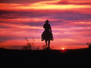 cowboysunset