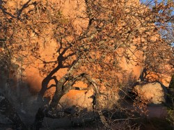 Sunset on E Rock Rock